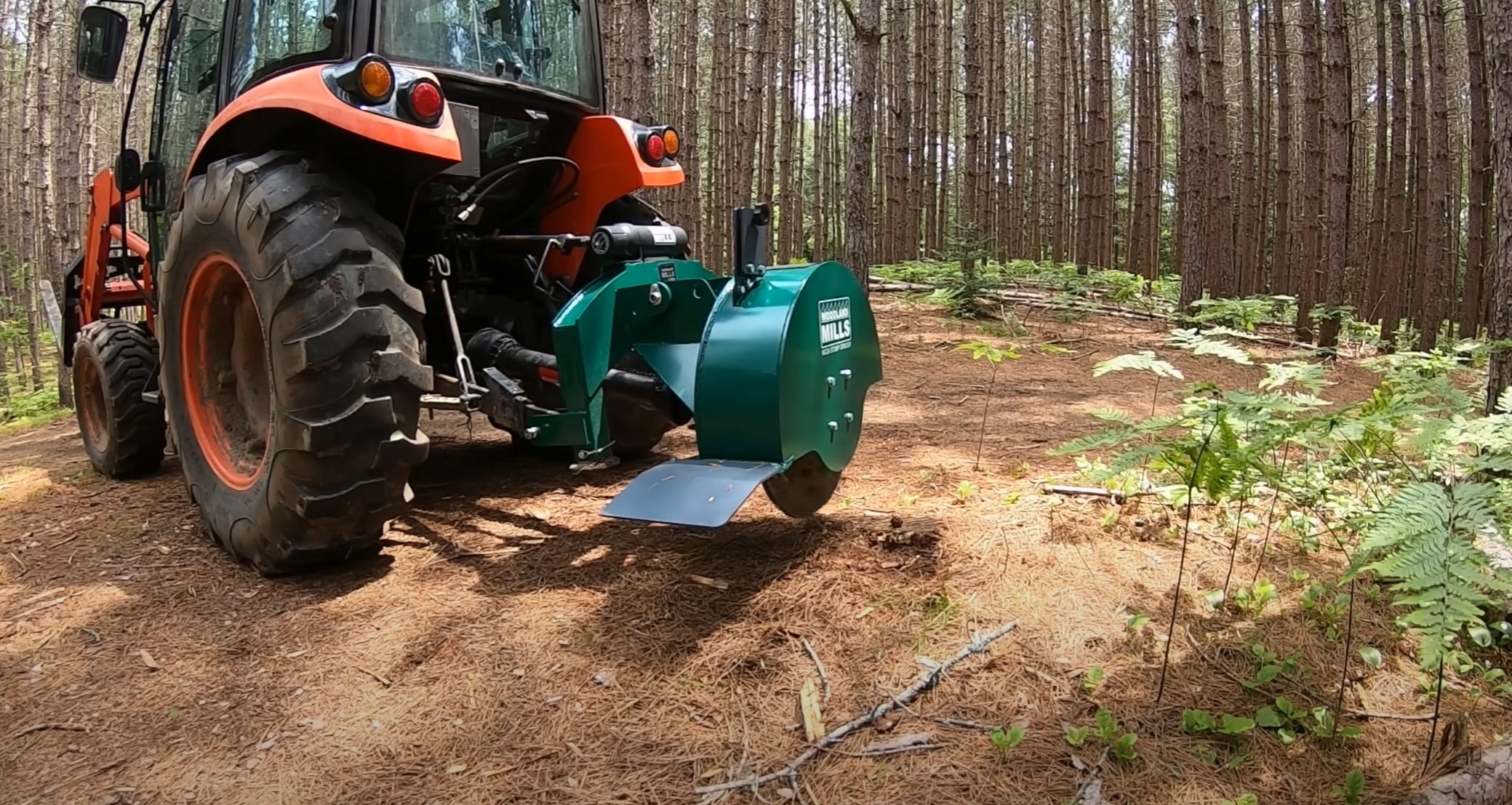 Stump Grinding & Removal service in Lawrence, MA