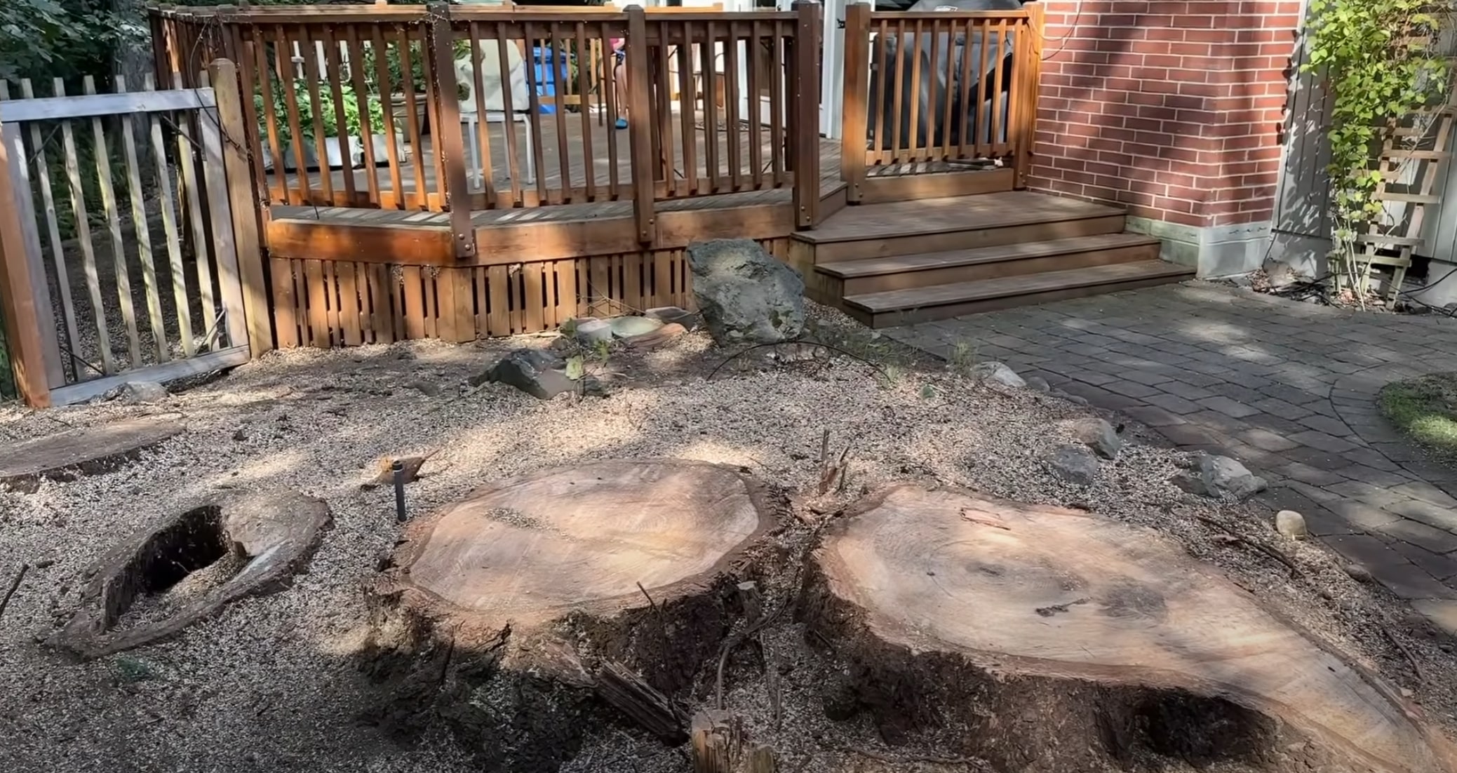 Tree stump removal in residential backyard in Lawrence, MA