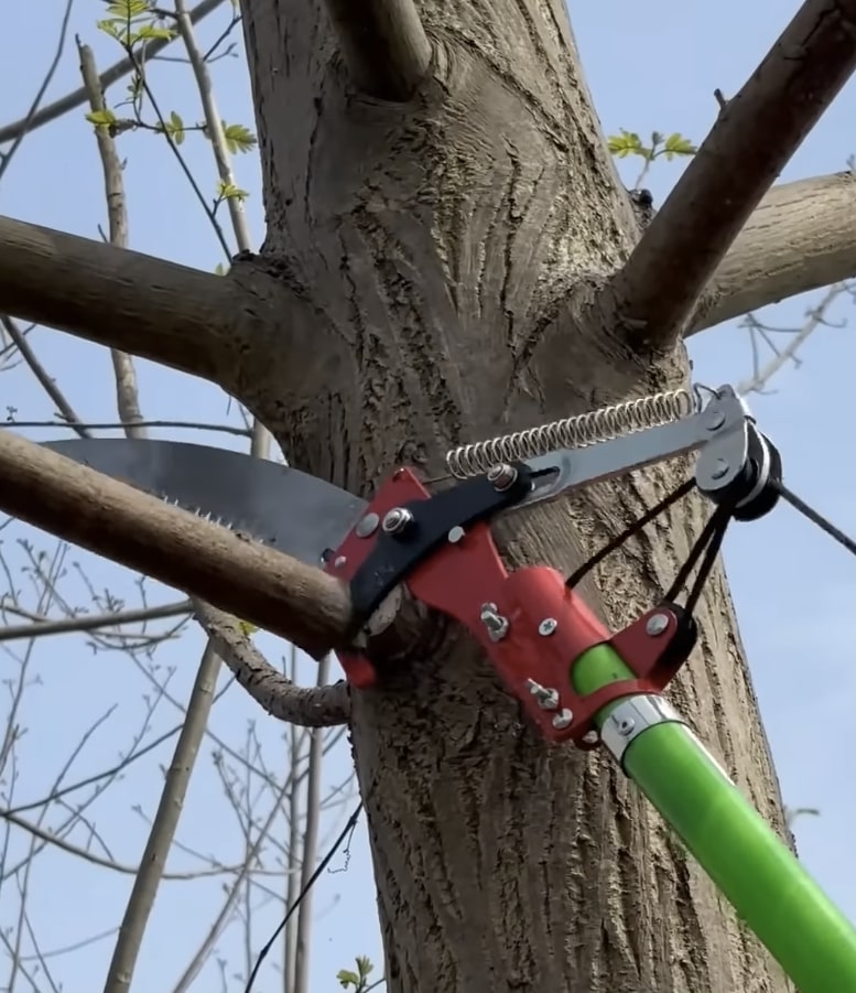 Professional pole saw being used for precise tree trimming