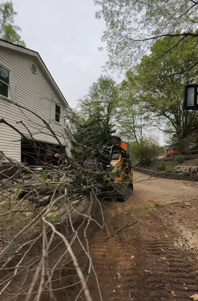 Why professional tree removal is essential for safety Aftermath of DIY tree removal accident showing damaged property and fallen branches