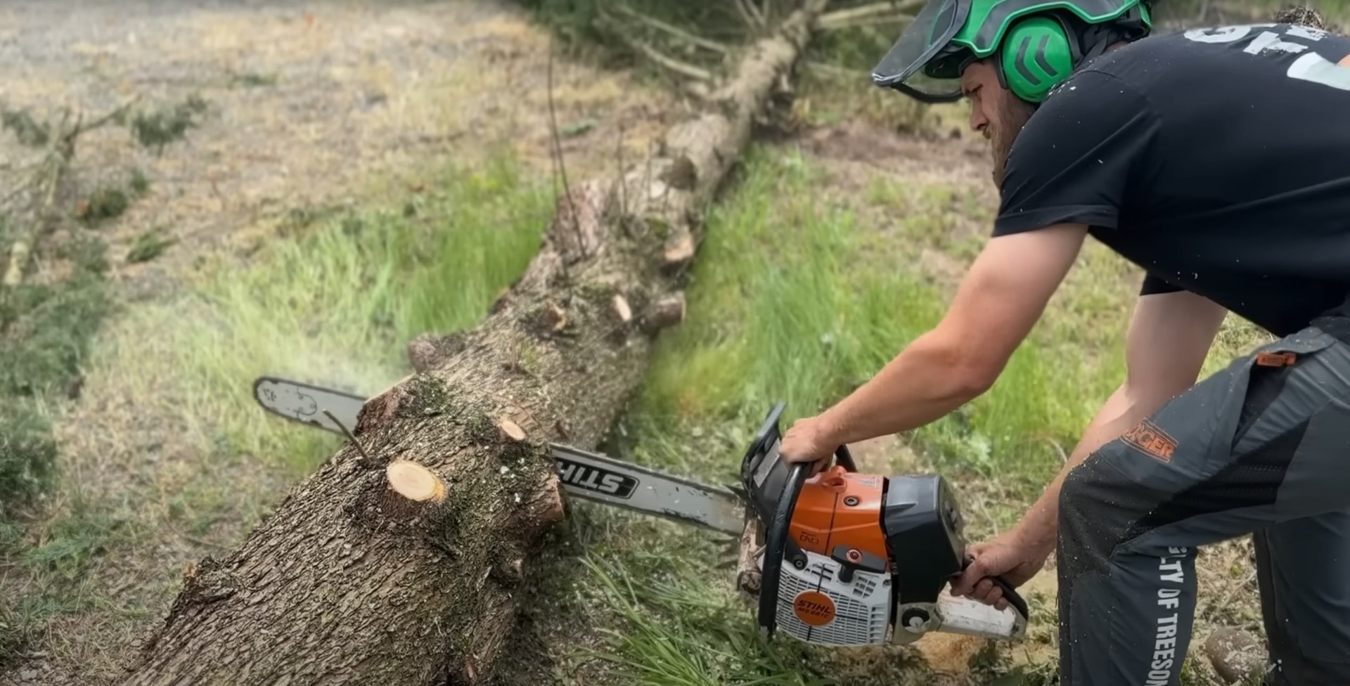 Precision Tree Cutting and Sectioning Tree service professional using chainsaw for precise tree cutting with safety gear