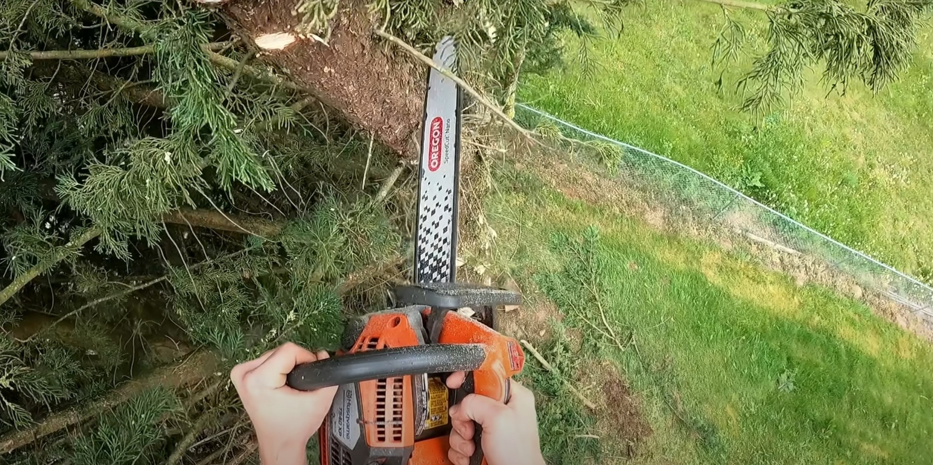 Professional Equipment and Safety Standards Professional chainsaw maintenance and preparation for tree service work