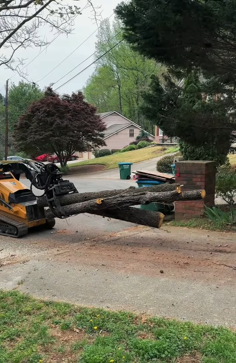 Complete Tree Removal and Cleanup Heavy equipment removing large tree logs from residential property after tree removal