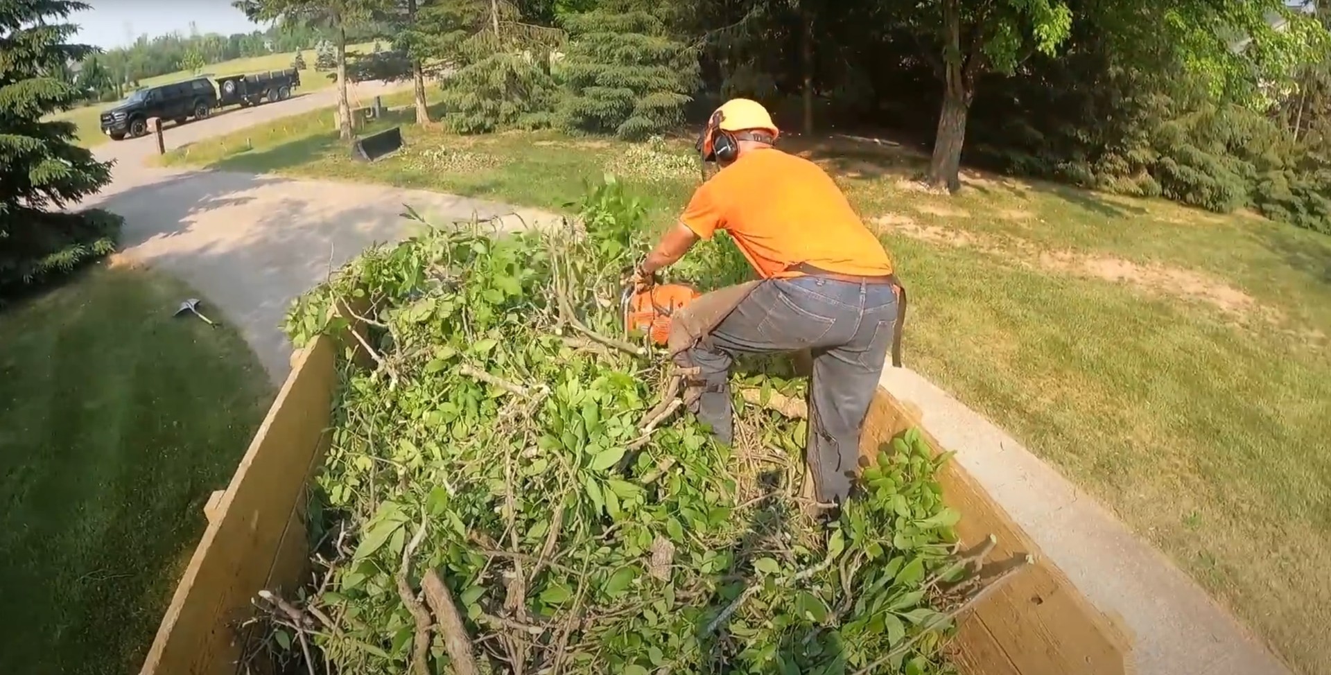 Professional tree service consultation and assessment Certified arborist consulting with homeowner about tree care options