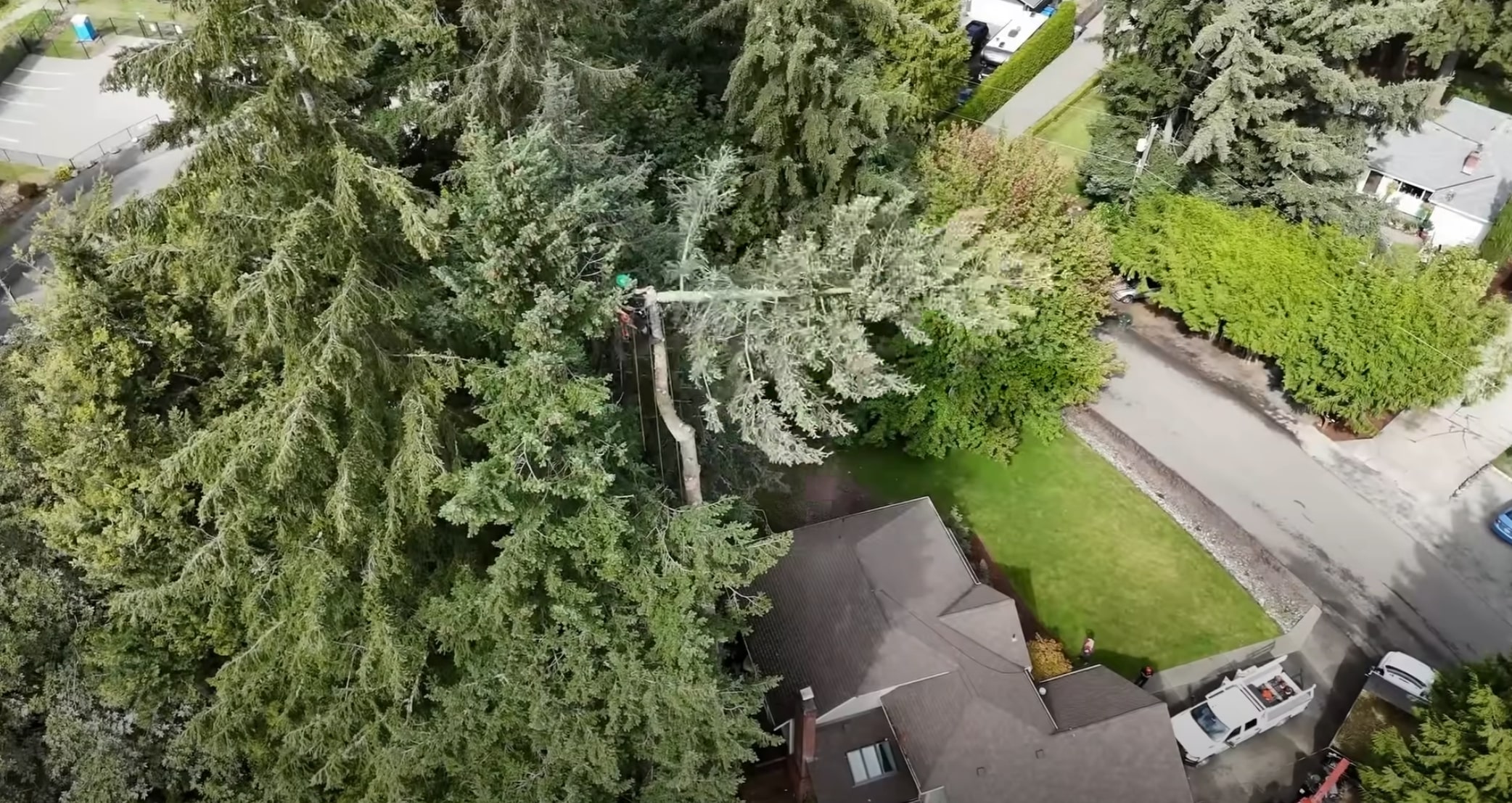 Professional tree service in Lawrence, MA
